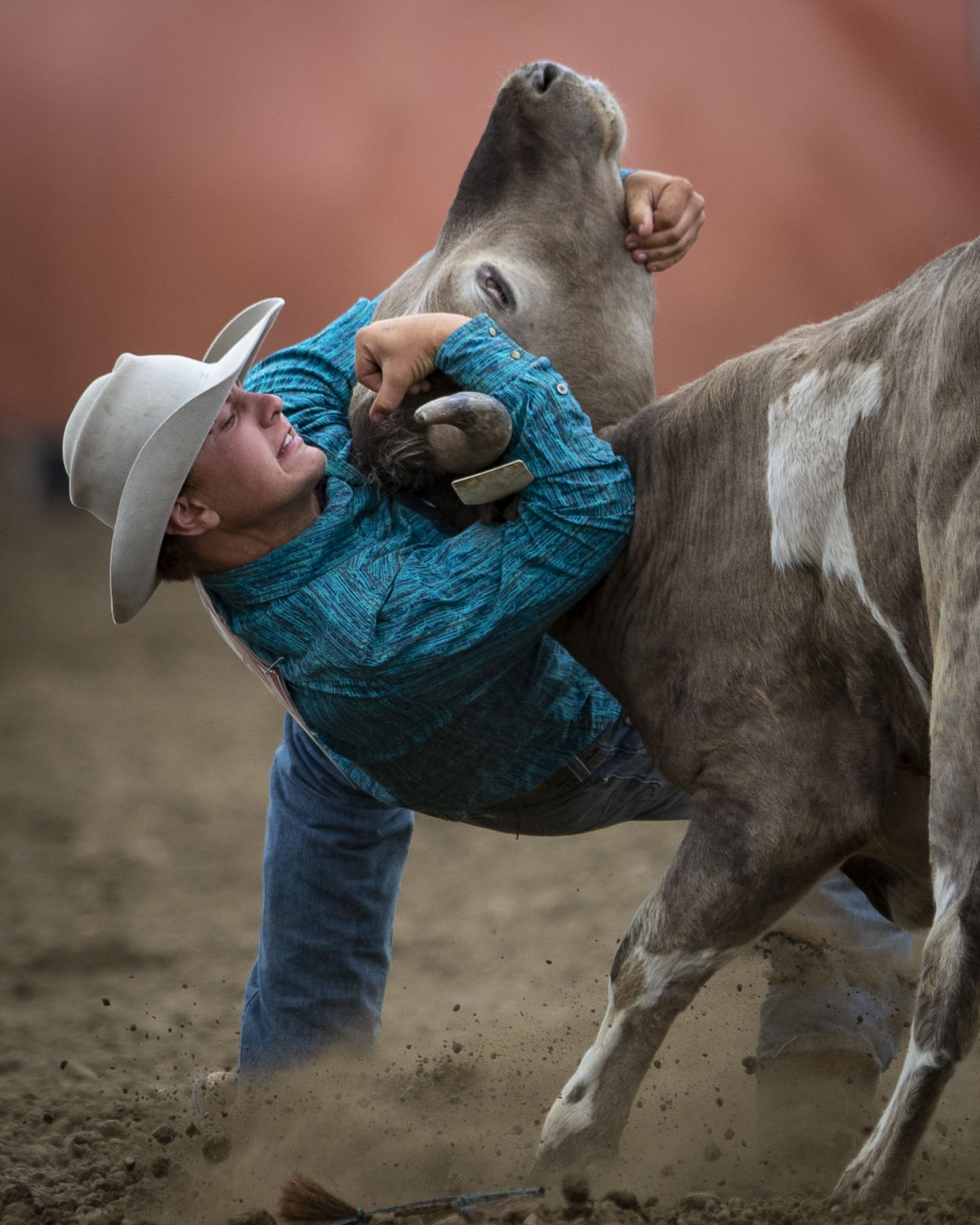Steer Wrestling
